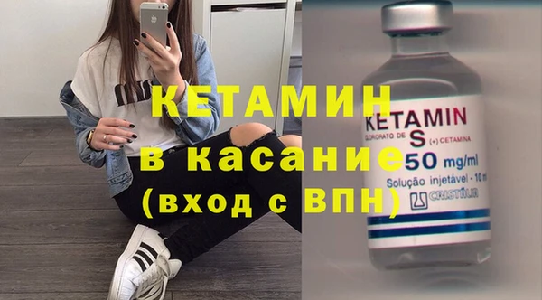 прущие грибы Абинск