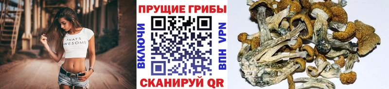 Галлюциногенные грибы ЛСД  Новоаннинский 